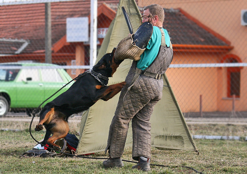 Fantasy von Kelemen Fantasy von Kelemen